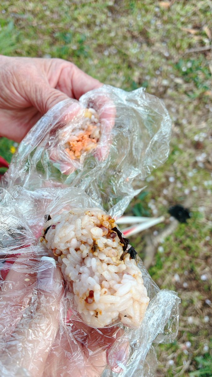 さくやはお楽しみでしたね tweet media