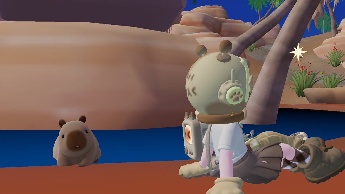 あちゃ🥀 tweet media