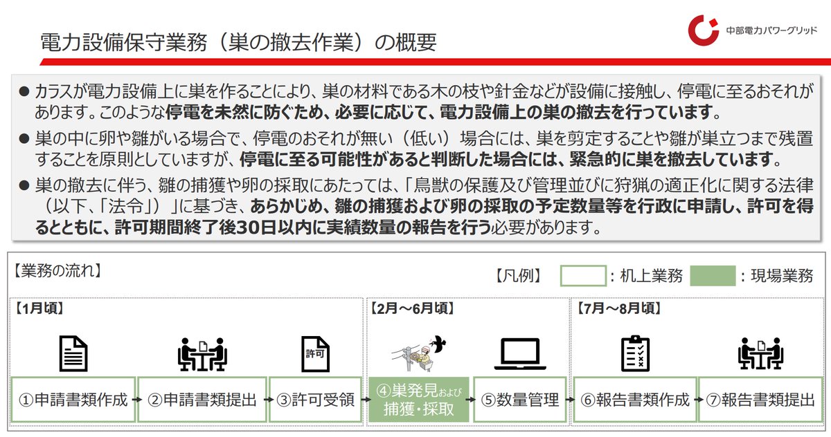 ゲンゴロウ飼育ブログ🗯 tweet media