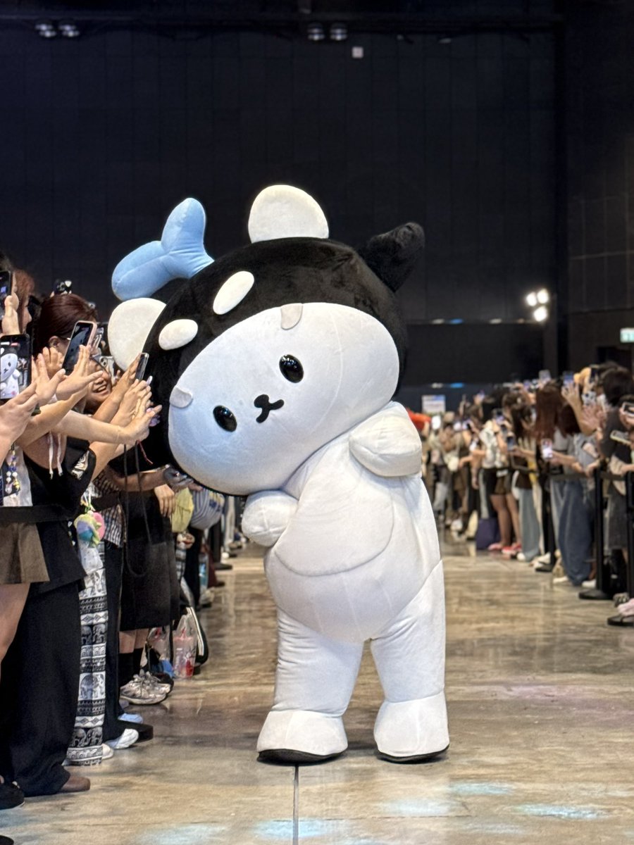 Polcasan tweet media