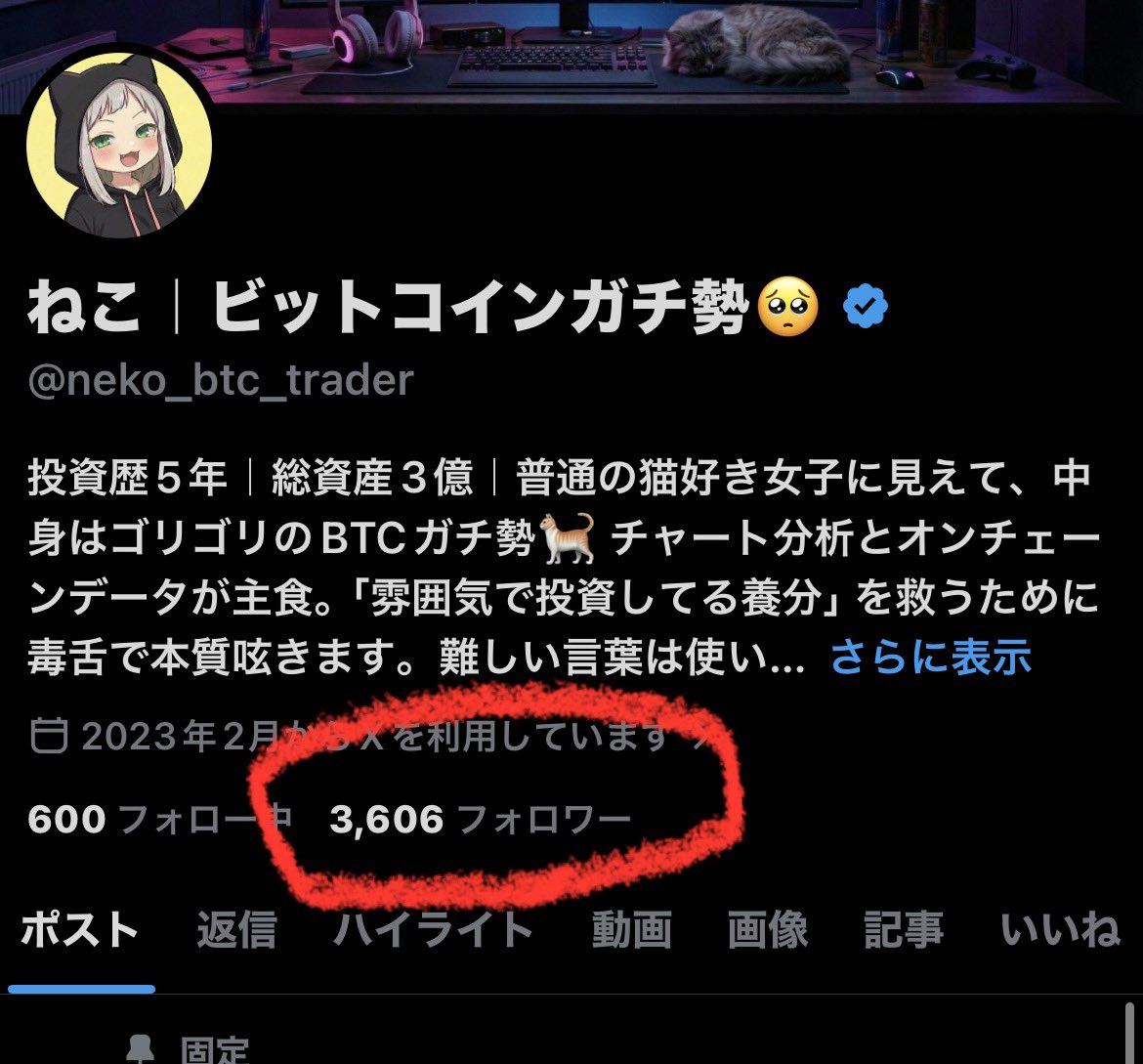 ねこ｜ビットコインガチ勢🥺 tweet media