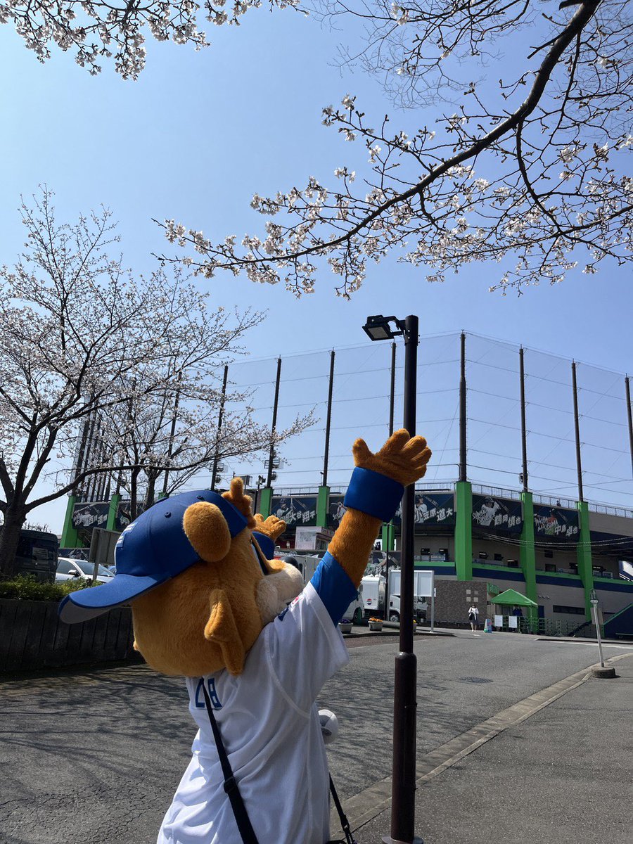 カビー tweet media