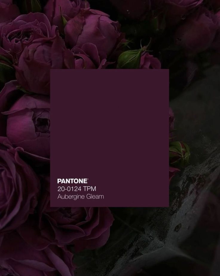 yarını bekleyen kelebek 🇵🇸 tweet media