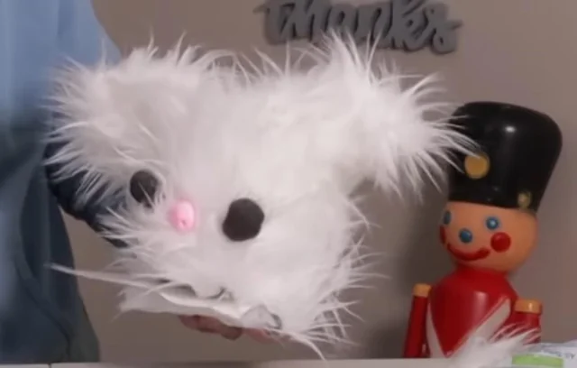 syntaxor tweet media