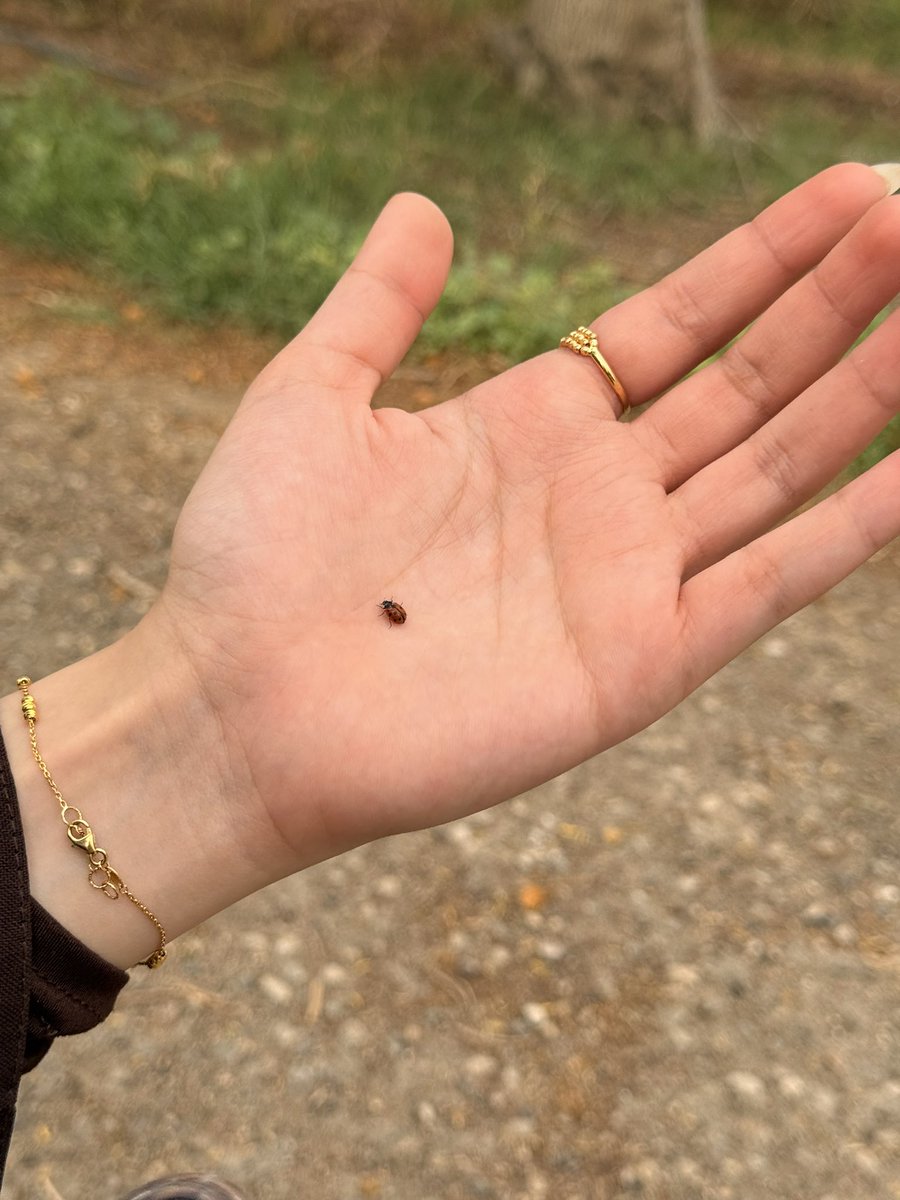 دعسوقه🐞 tweet media