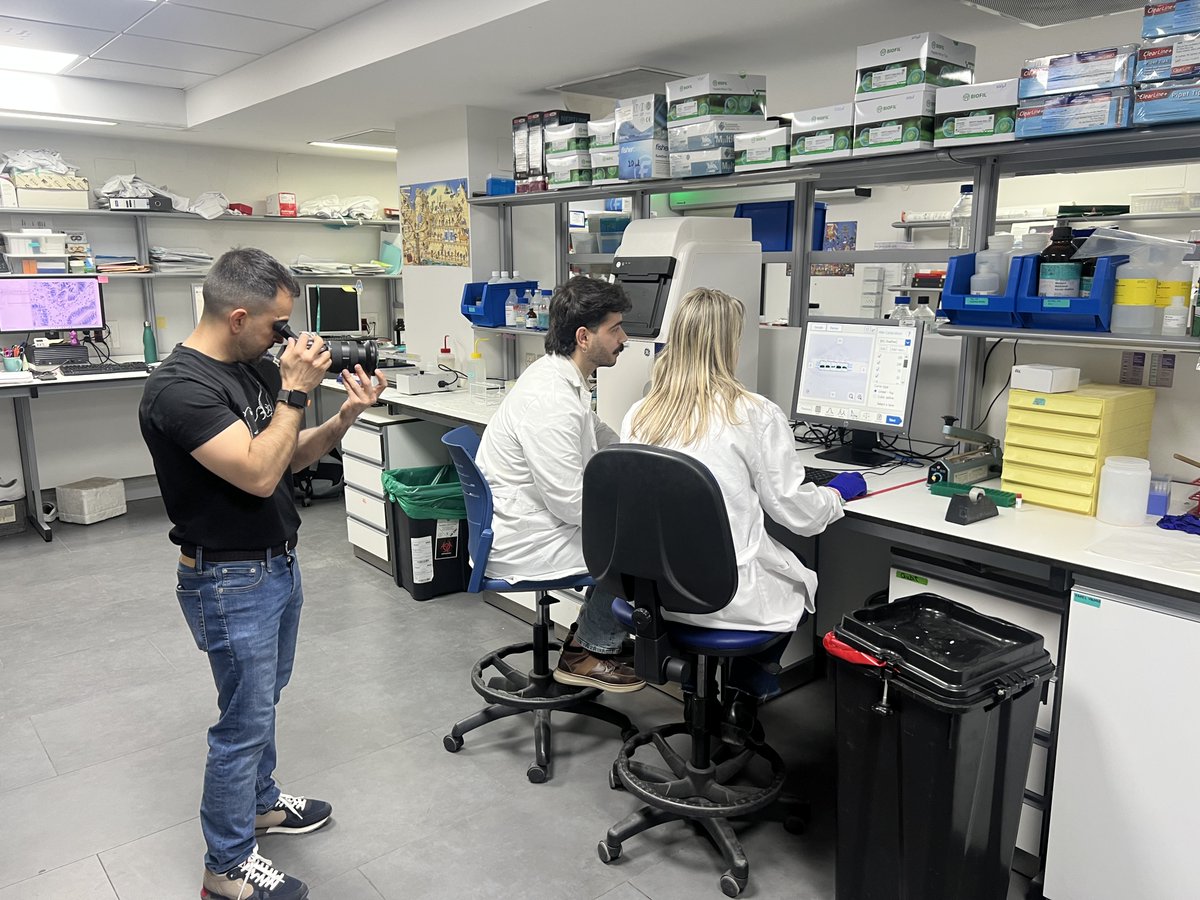 ALADDIN project tweet media