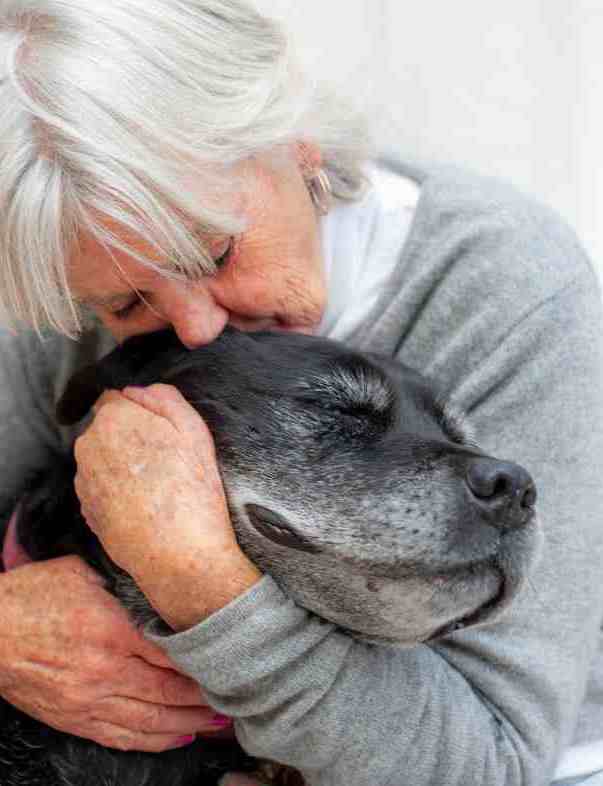 Karrie Marshall tweet media