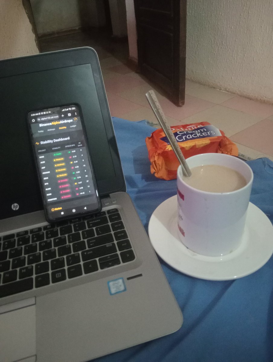 Elev 💥 tweet media