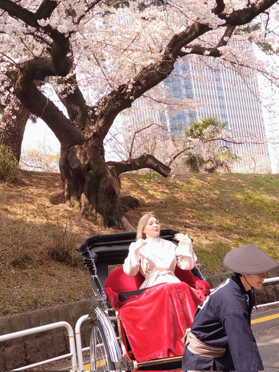 禅心博道 tweet media