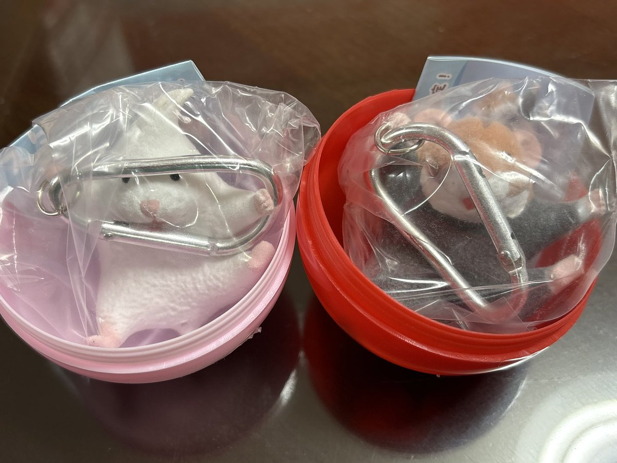 くらげみ tweet media