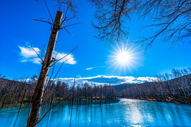 【公式】並木将央(株)ロードフロンティア│どんなときも自分のファンでいるための学問「活学」 tweet media