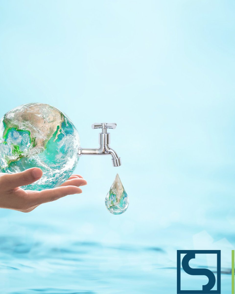 Sercomosa_News tweet media