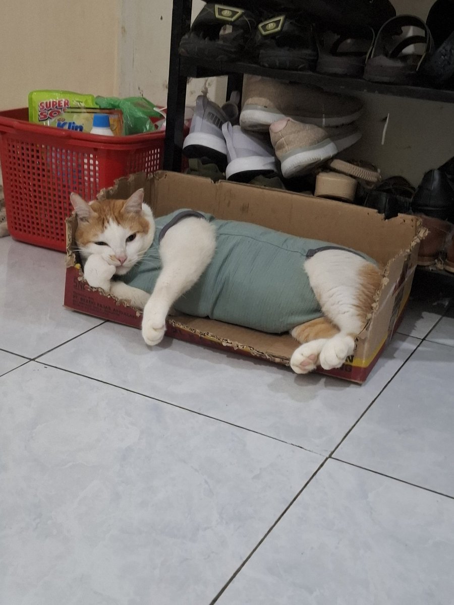 Name Cannot Be Blank tweet media