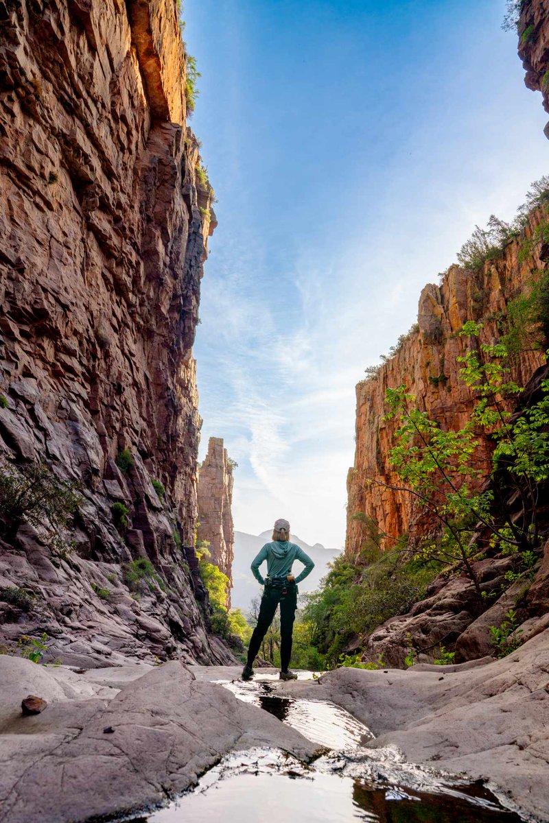 RebelByNature tweet media