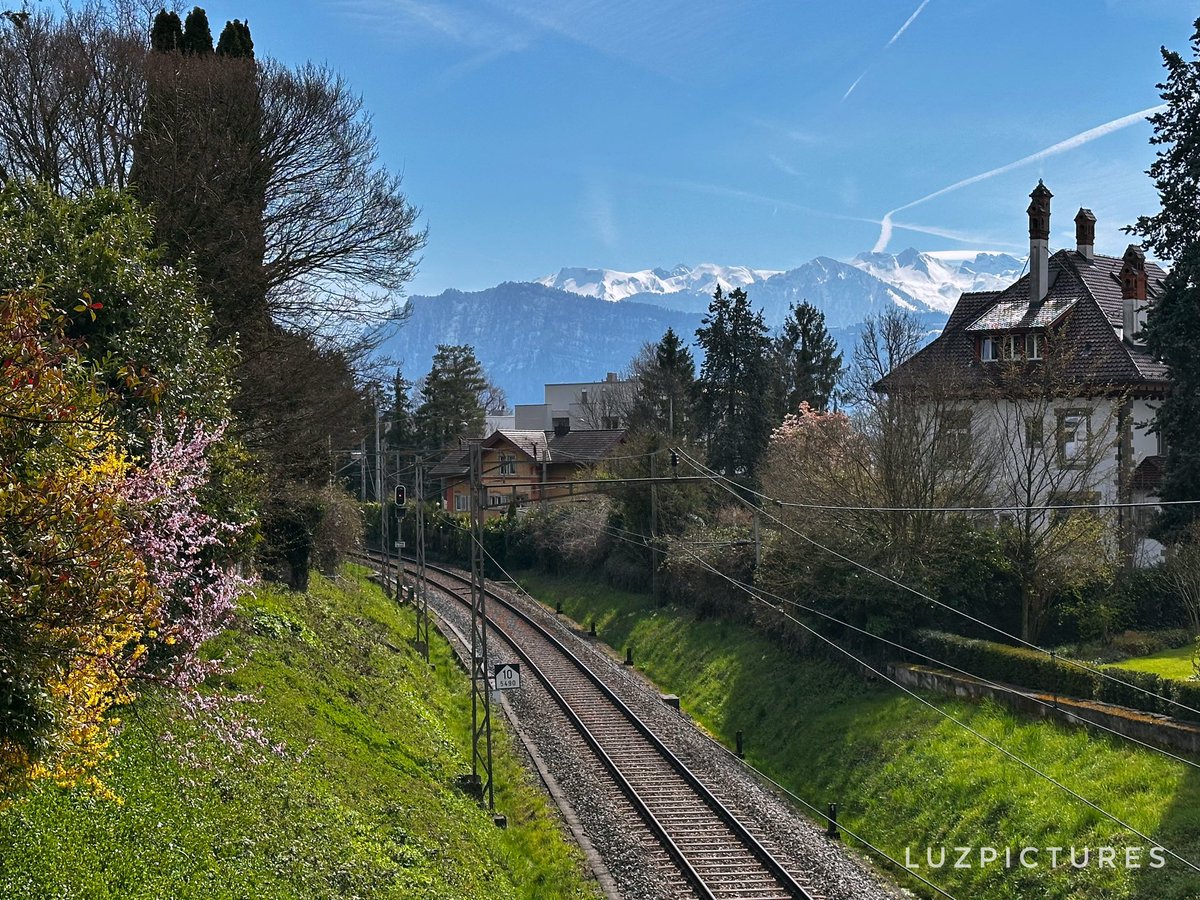 LuzPictures tweet media