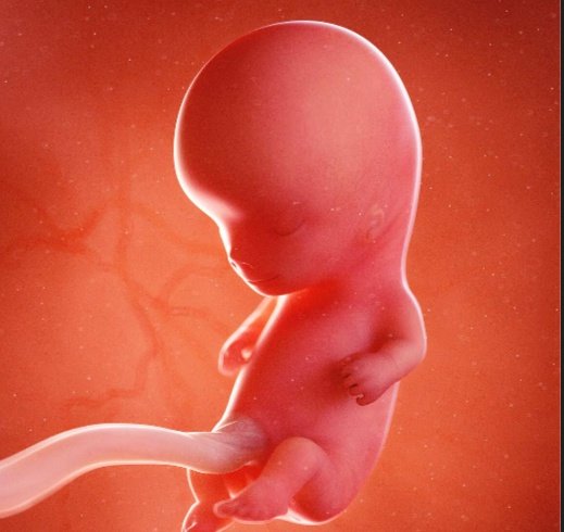 𝑉𝑂𝑋🧸ྀི tweet media