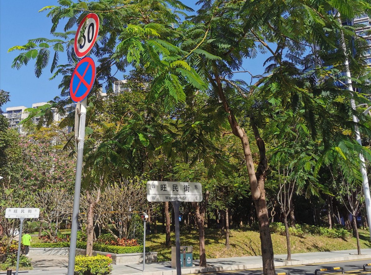 Alan Fauth tweet media