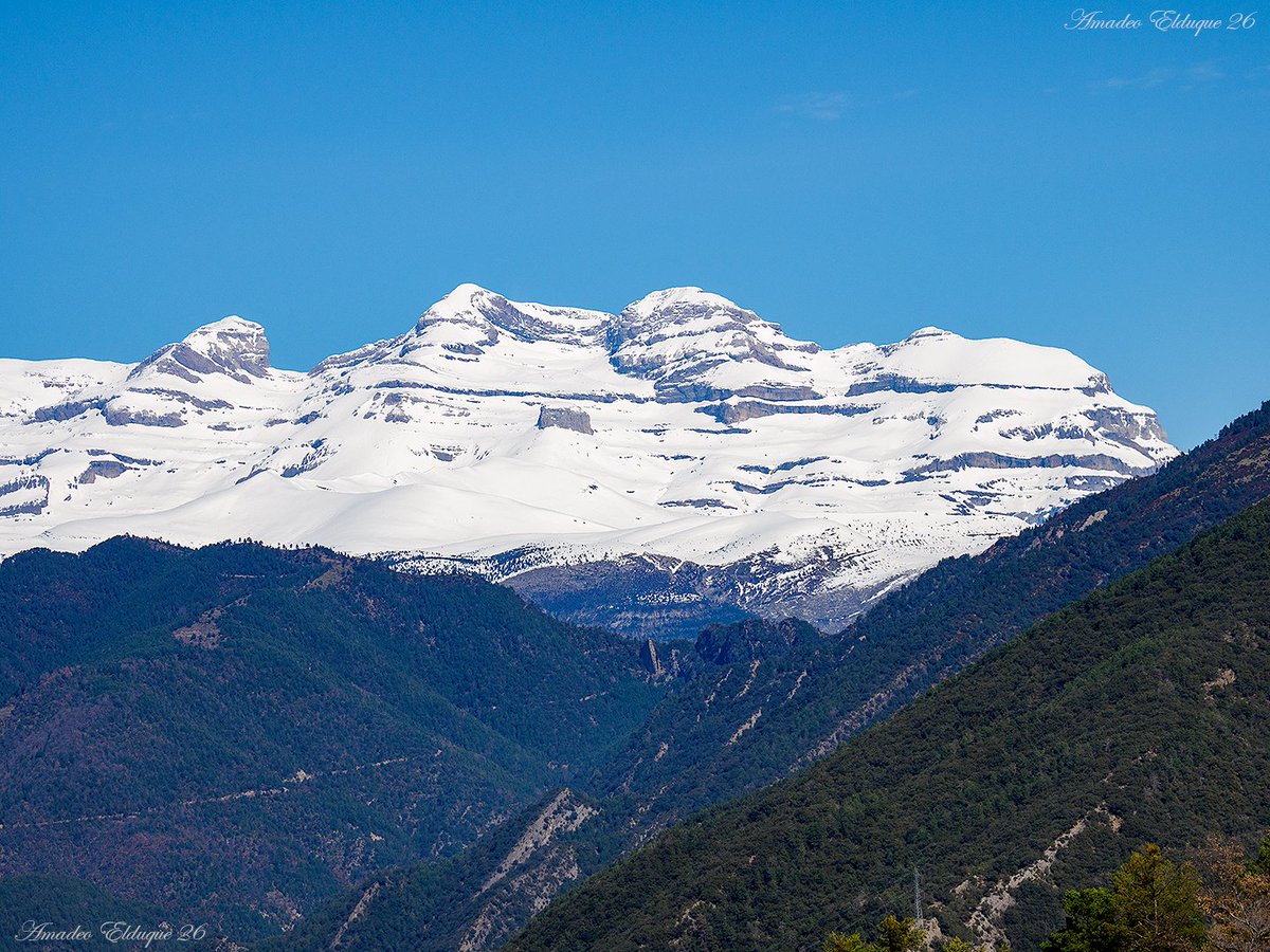 Amadeo Elduque tweet media