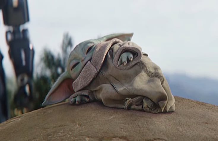 lys 𝜗ৎ tweet media