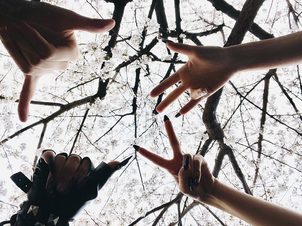 8bitZERO_'s tweet photo. ◤ 池袋harevutai Thank you!◢
〓 Set List 〓
零▷ SE
壱▷ 斬-ZAN-
弍▷ Rise to End
参▷ BE BRAVER
肆▷ true "LA"
伍▷ Countdown
陸▷ 斬-ZAN-
▶︎▷▶︎▷ Next 31 新高円寺
#8bit零 #8bitZERO
#ハチゼロ #ゼロ #エイトビットゼロ
#9月25日下北沢シャングリラ
#全てはゼロから始まる
#画像及び動画等の無断転載禁止