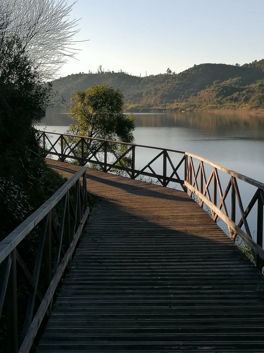 manuelima tweet media