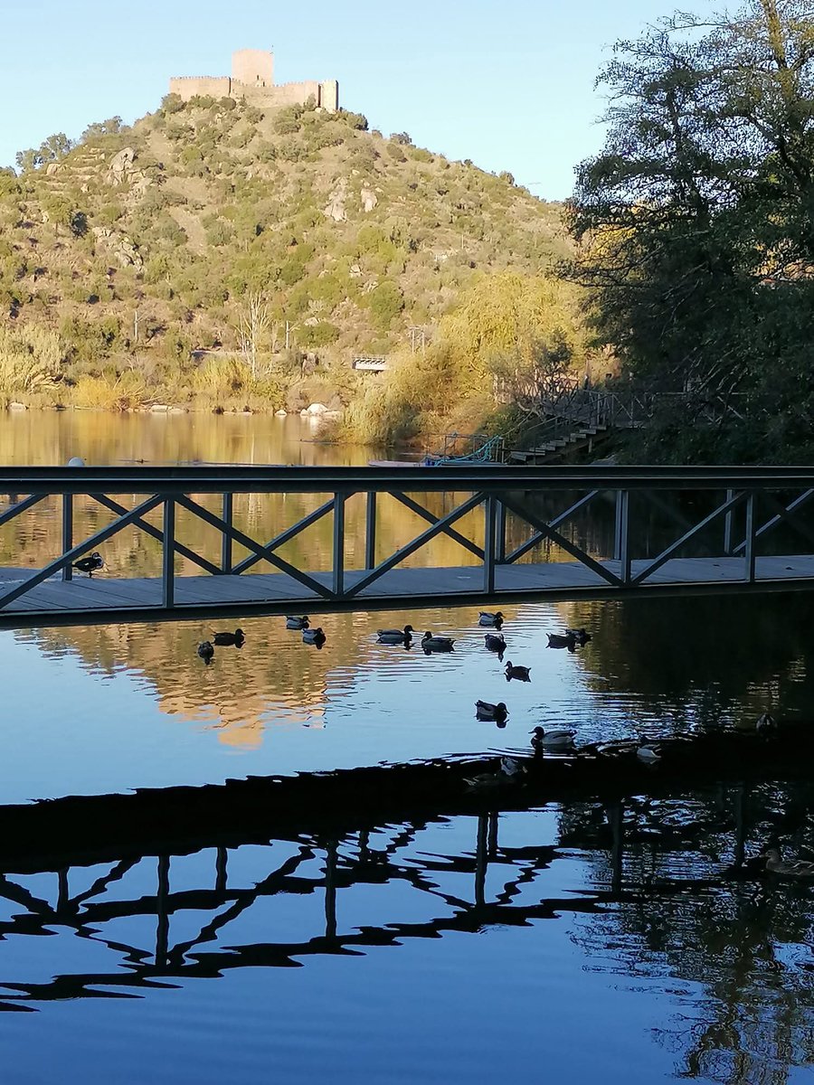 manuelima tweet media