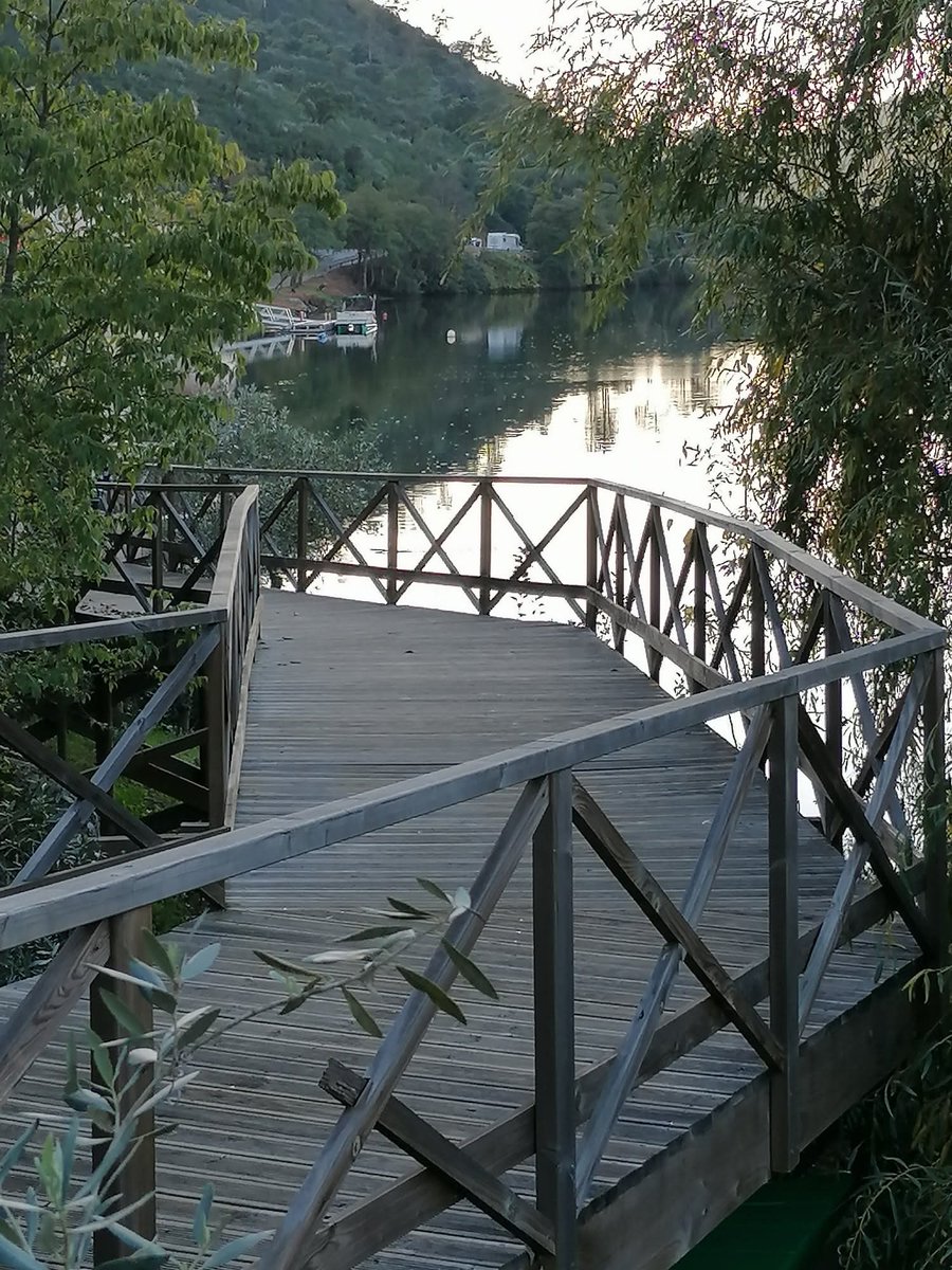 manuelima tweet media