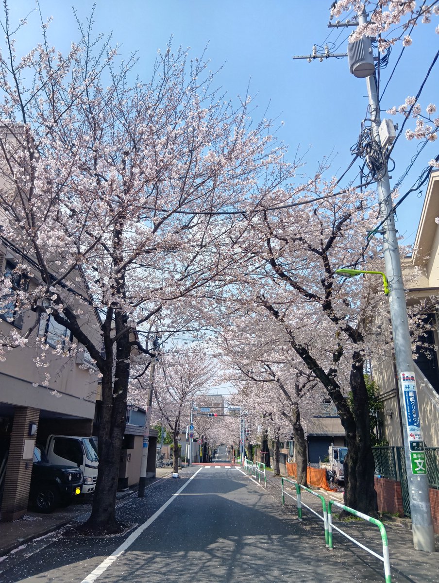 park-lee tweet media