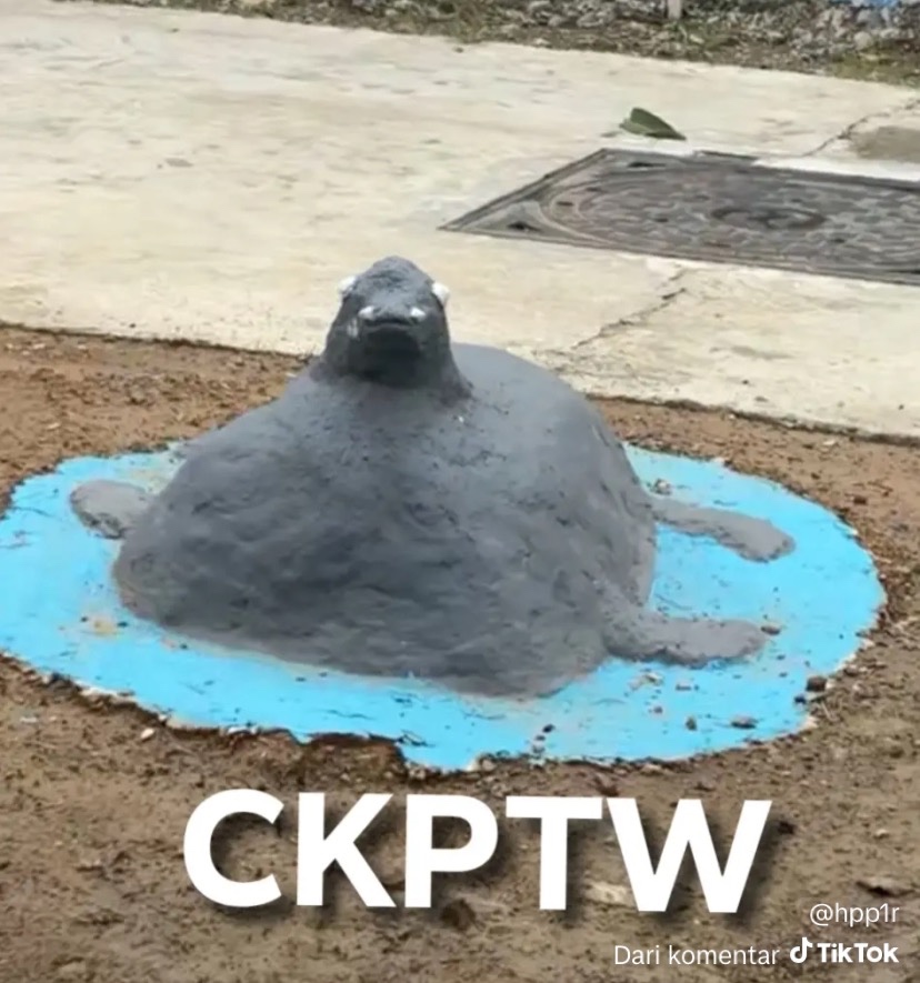 BUKAN BASE RATED tweet media