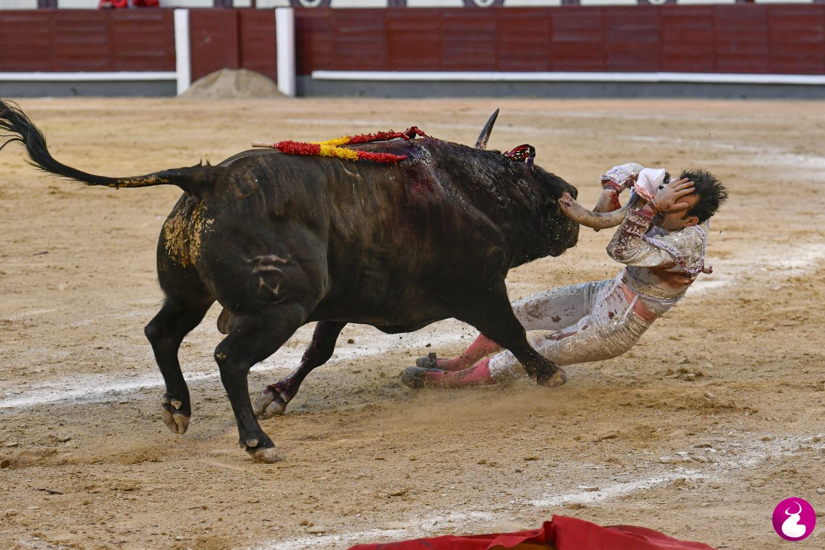 Luis Sánchez Olmedo tweet media