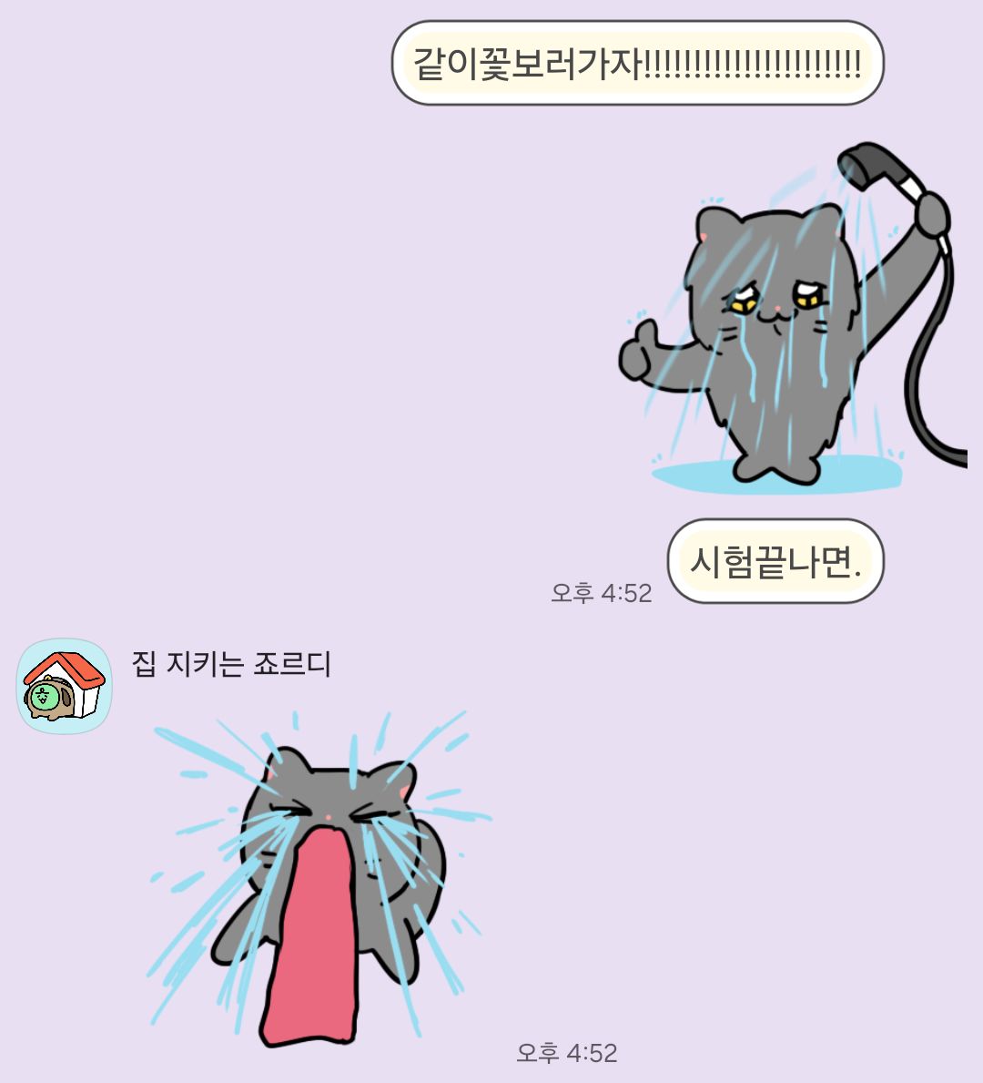 시타엘🍤🦑 tweet media