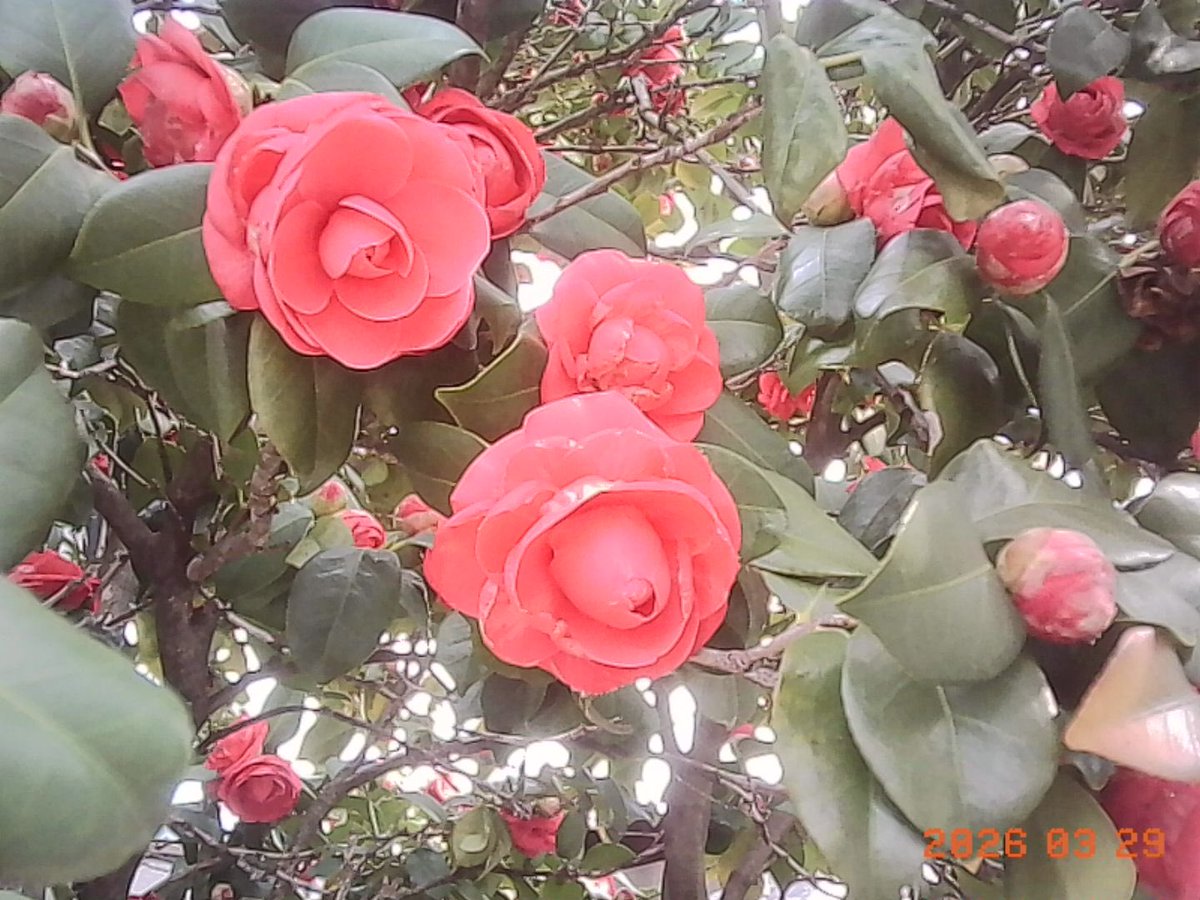 MAN@4/13アカイエ tweet media