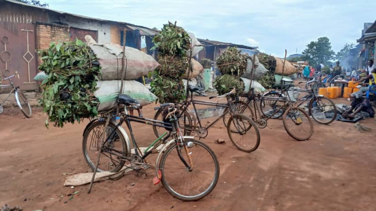 TwahirwaIpha's tweet image. I #Gitega mu #Burundi barataka ihenda ry'amakara. Umufuka uragura 70.000 Fbu. I #Kigali mu #Rwanda umufuka w'amakara muri Cyaruzinge ya Ndera, umufuka uragura 17000F-20000F. Ibicanwa kuki birushaho uhenda?