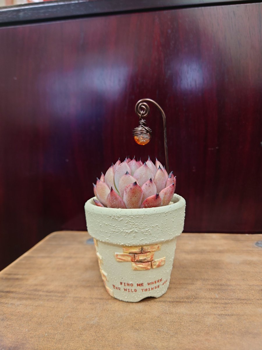 マルカン運輸部！㋮ダイエット中 tweet media