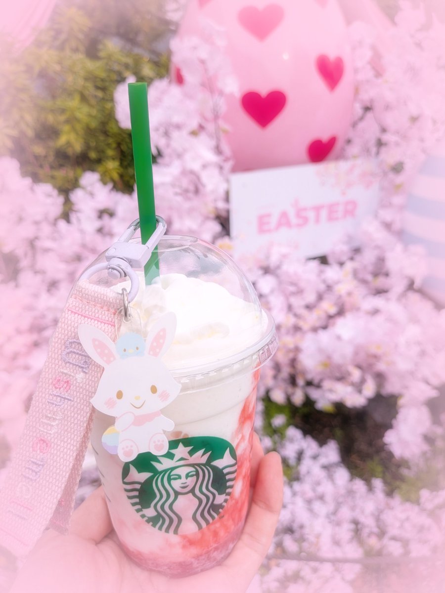 かるは🐰 tweet media