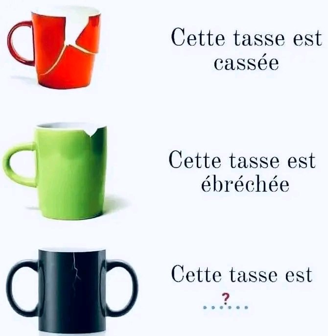 Junior Kaya tweet media