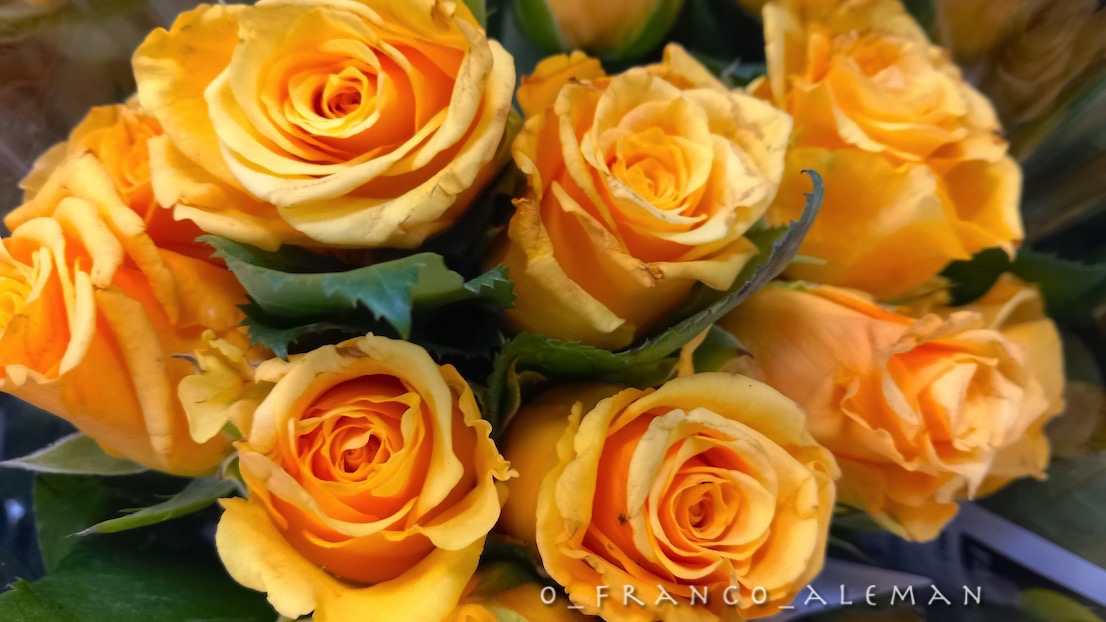 Franck Marc ✌ tweet media