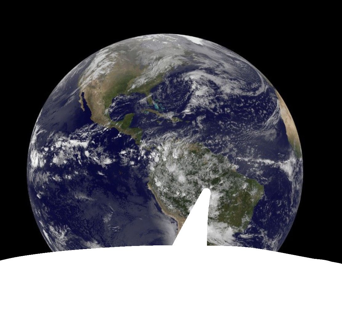 Tired frog tweet media