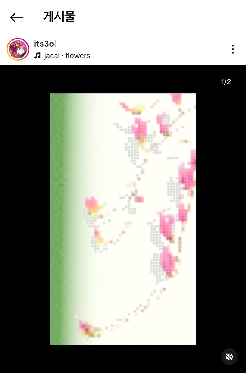 지우설 tweet media