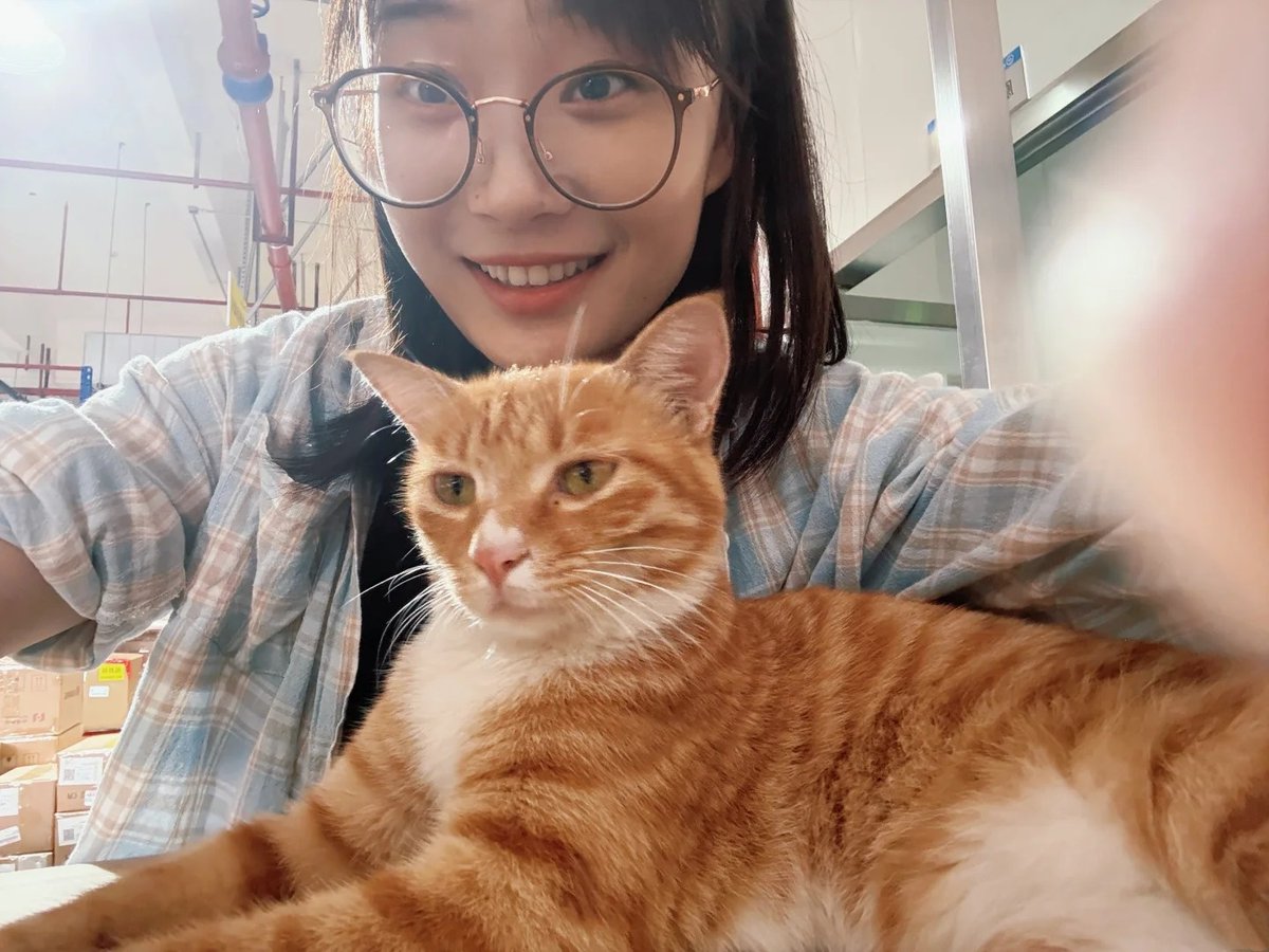 加油小鳳 tweet media