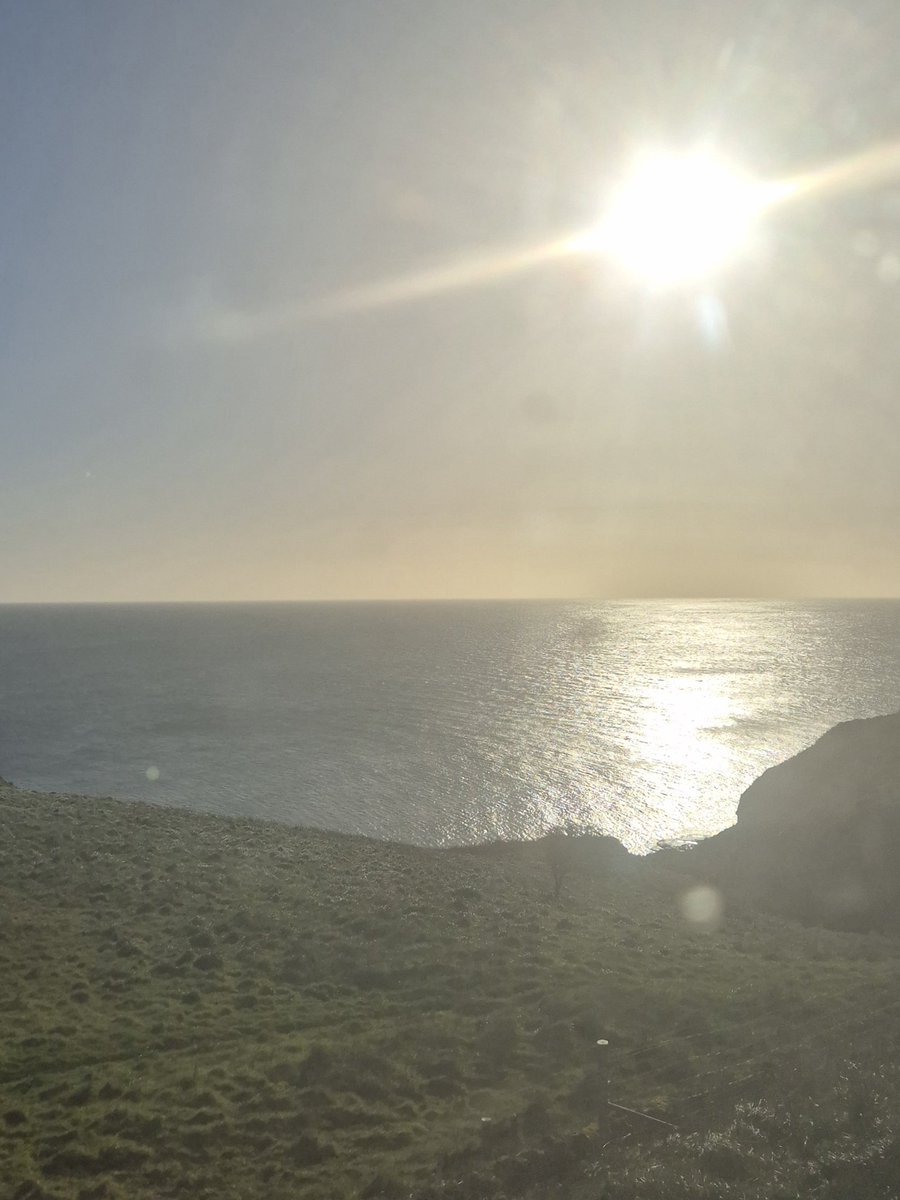 Matthew Plant tweet media