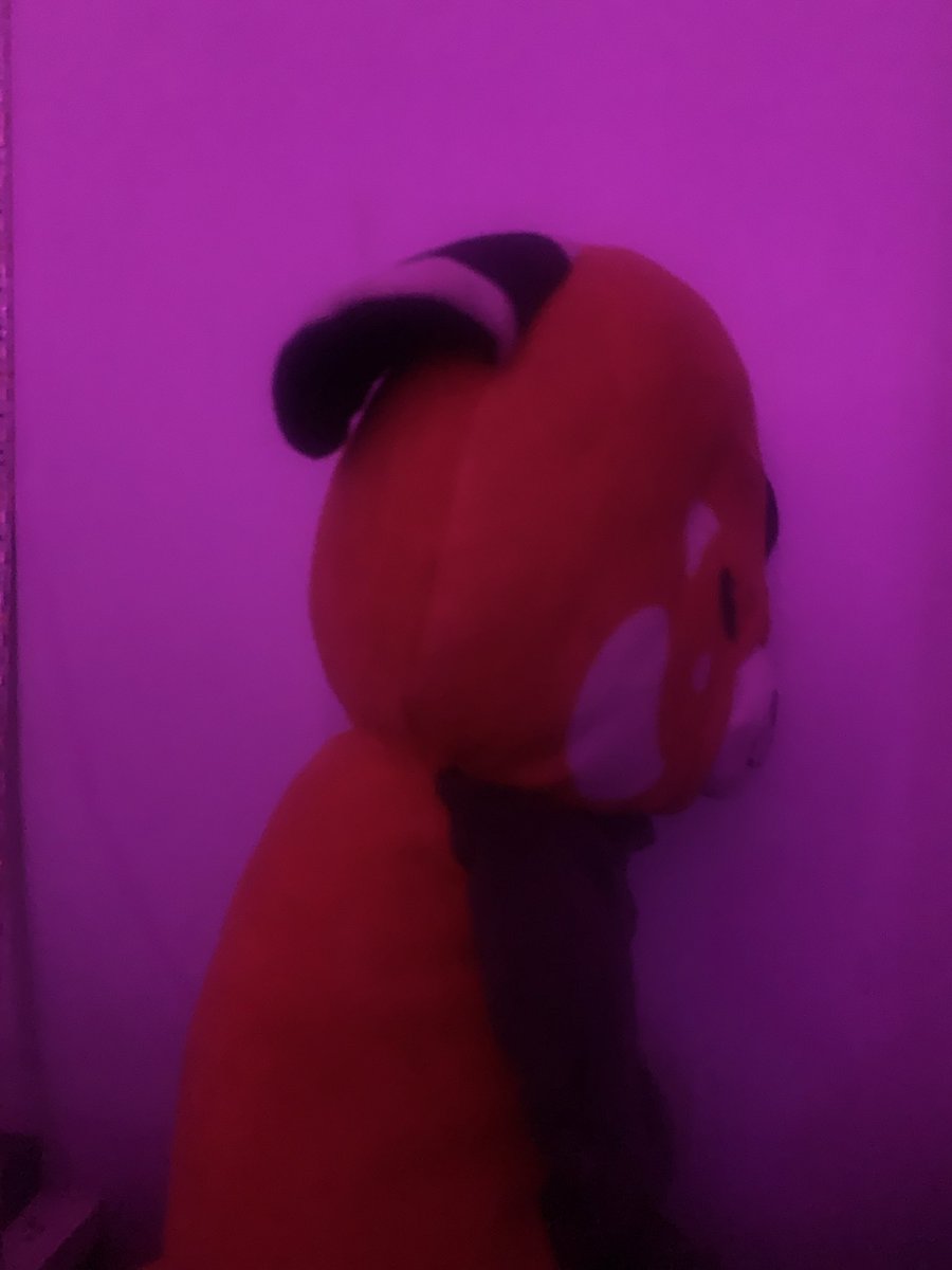 Kayceeeeeeeeeeeeeeee tweet media