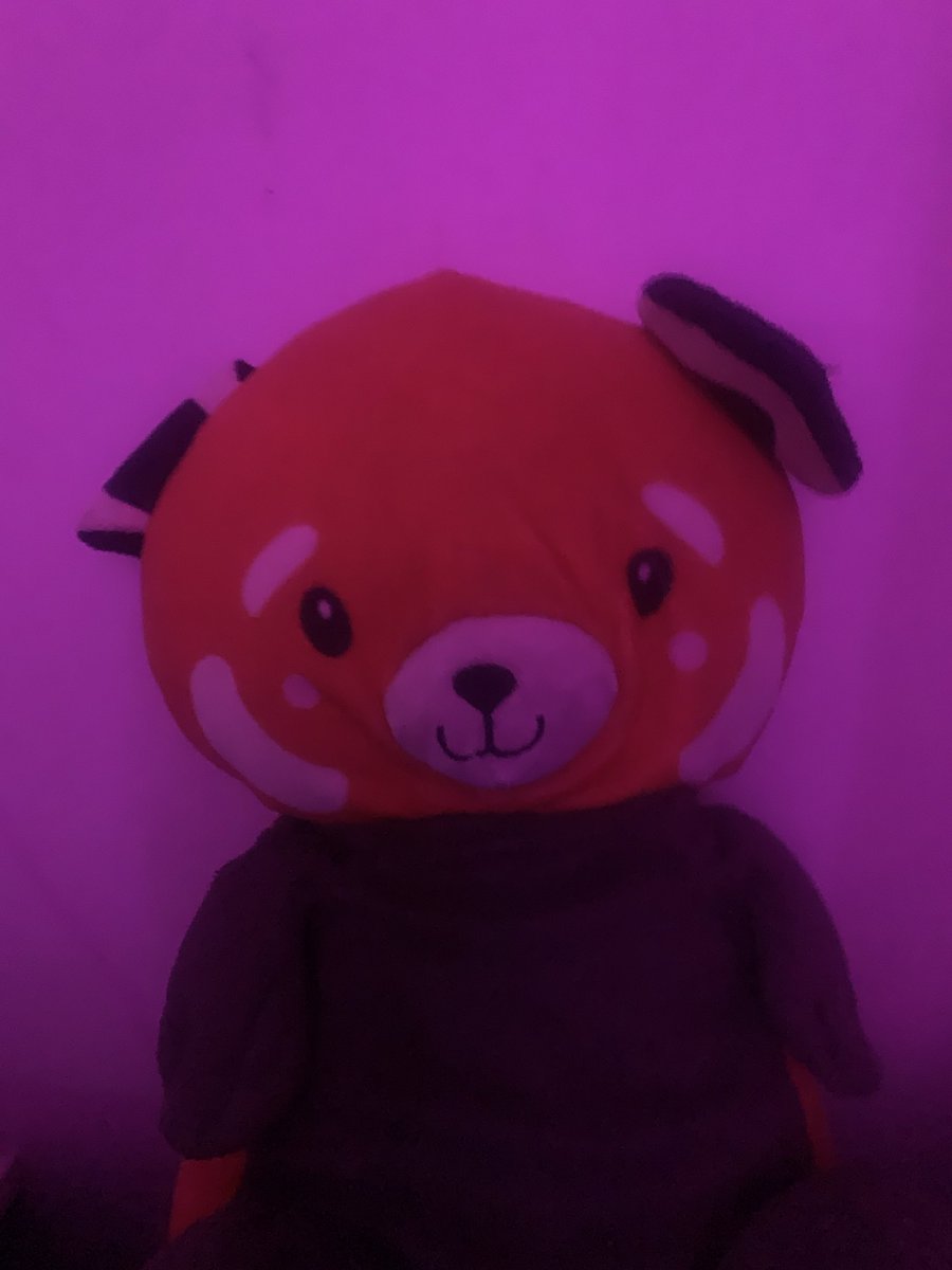 Kayceeeeeeeeeeeeeeee tweet media