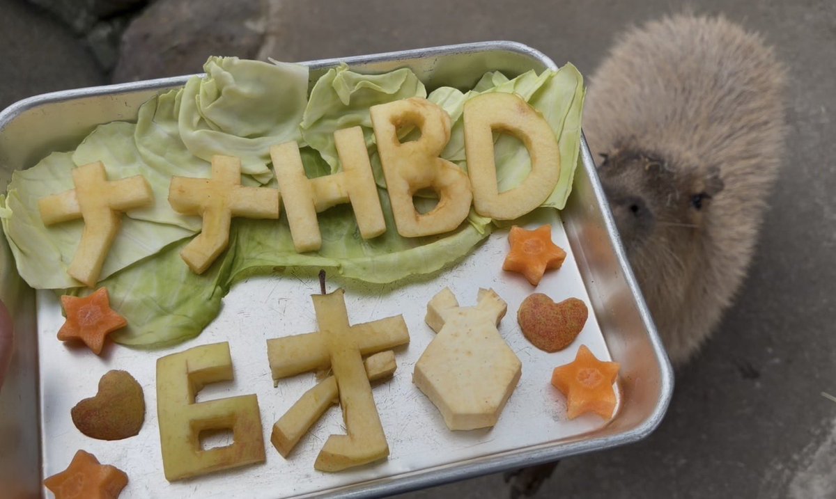 那須サファリパーク tweet media