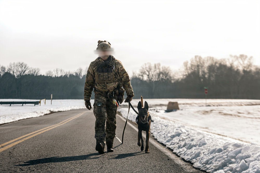 jmscaronte's tweet image. U.S. Army Green Berets with the 5th Special Forces Group (Airborne), during K-9 training at Fort Campbell, Kentucky, Feb. 4, 2026.
#k9 #dog