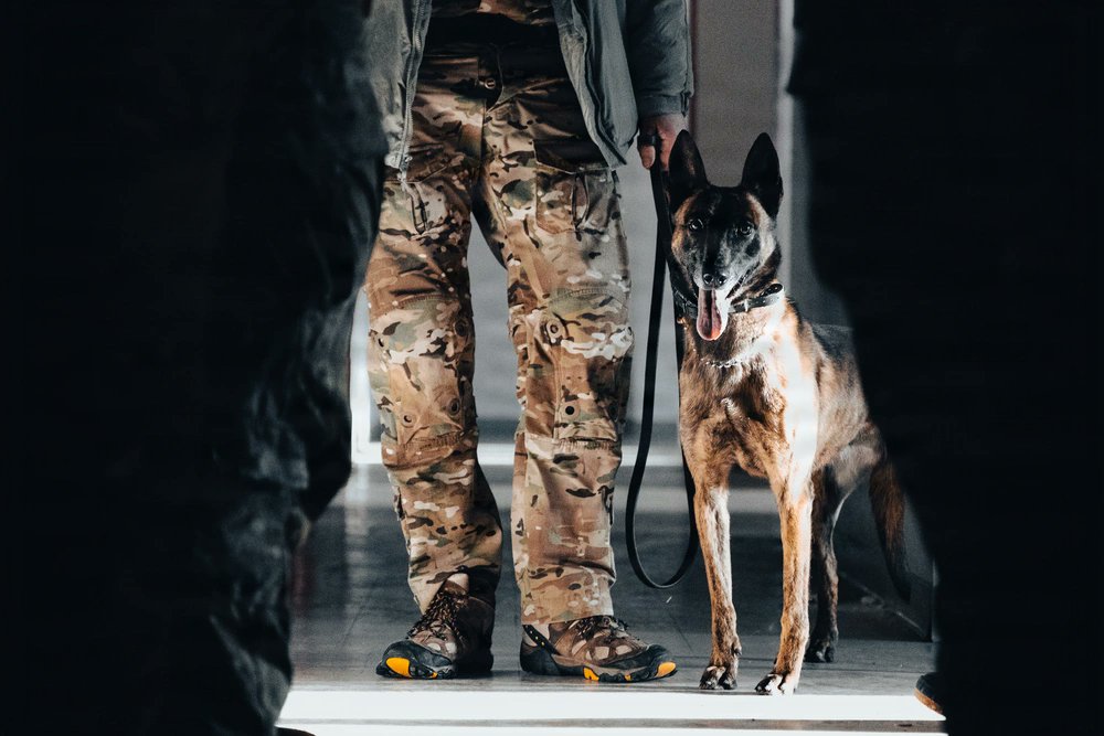 jmscaronte's tweet image. U.S. Army Green Berets with the 5th Special Forces Group (Airborne), during K-9 training at Fort Campbell, Kentucky, Feb. 4, 2026.
#k9 #dog