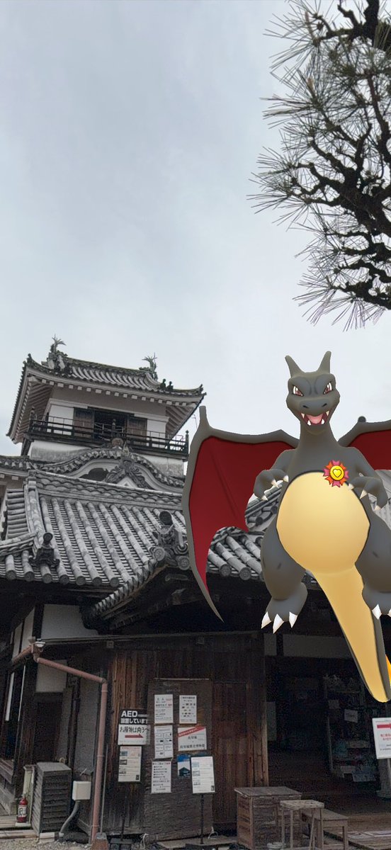 thebigpond0430's tweet image. #GOsnapshot
高知県にて