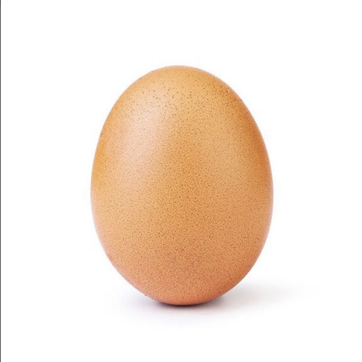 F. Rafinha (CEO de la Nostalgia™️) tweet media