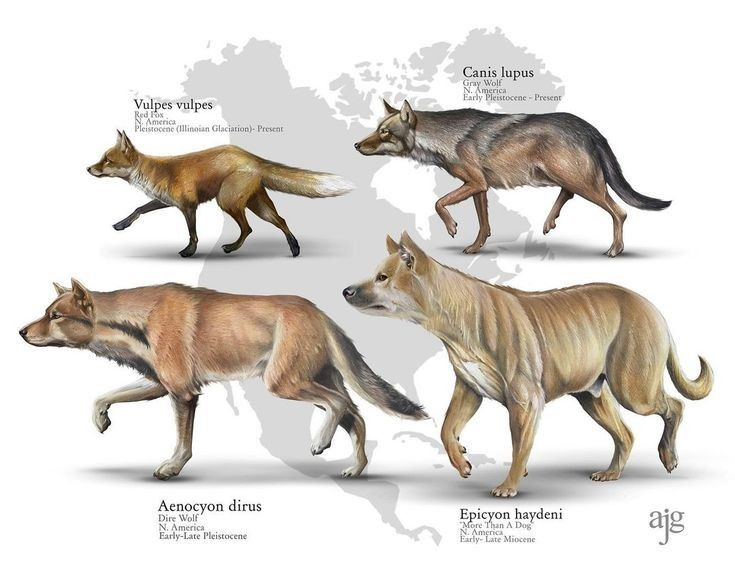 Artemis Base Camp tweet media