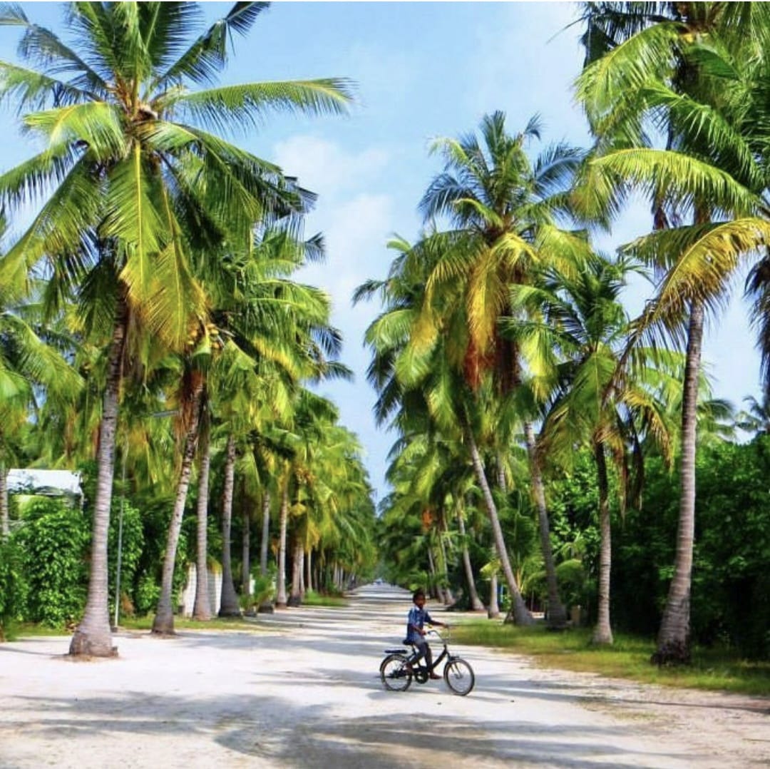 Bluepeace tweet media